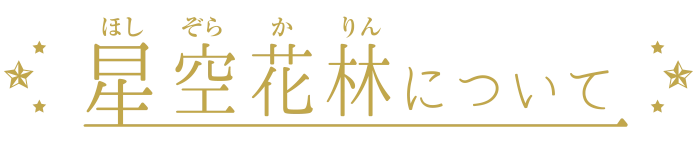 星空花林について